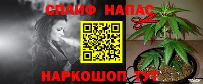 тгк Кингисепп