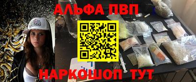 тгк Кингисепп
