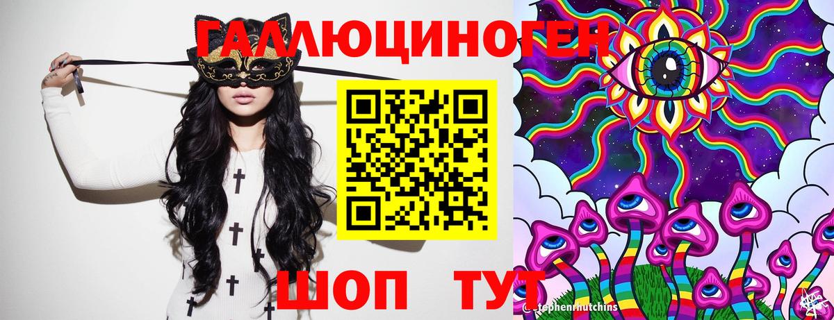 Галлюциногенные грибы Psilocybe Каспийск